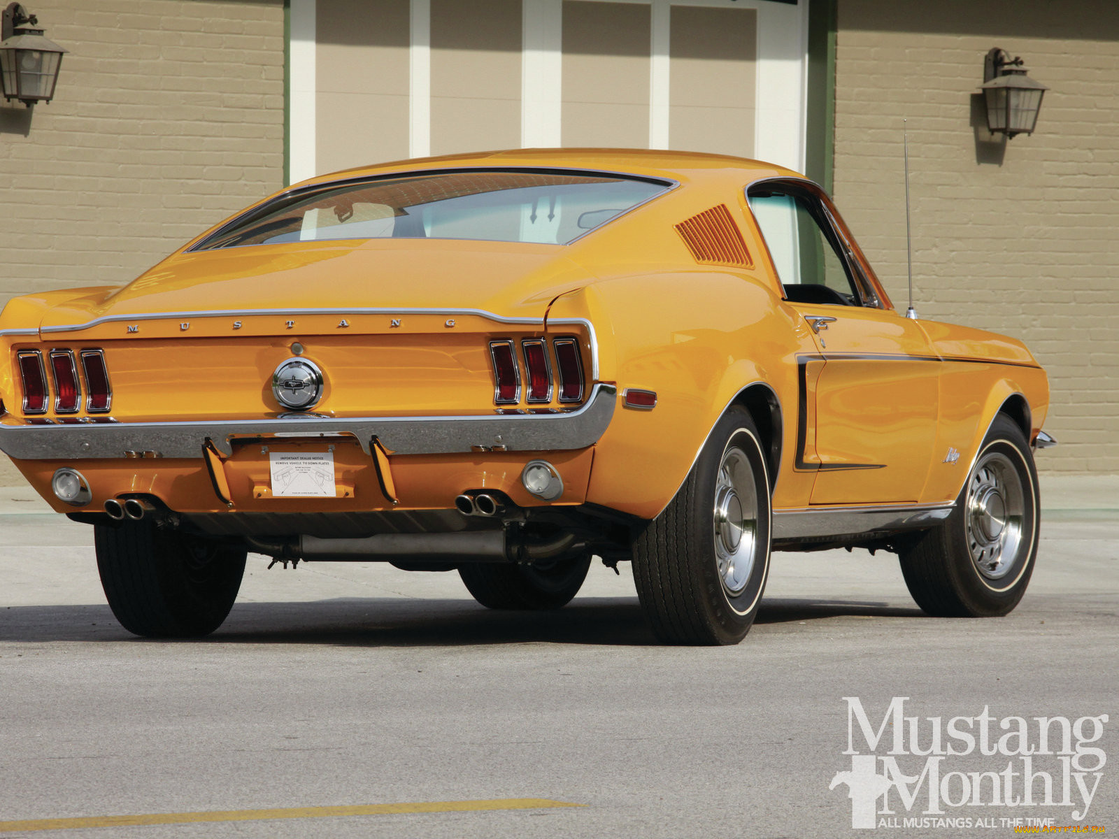 1968, fastback, special, orange, , mustang